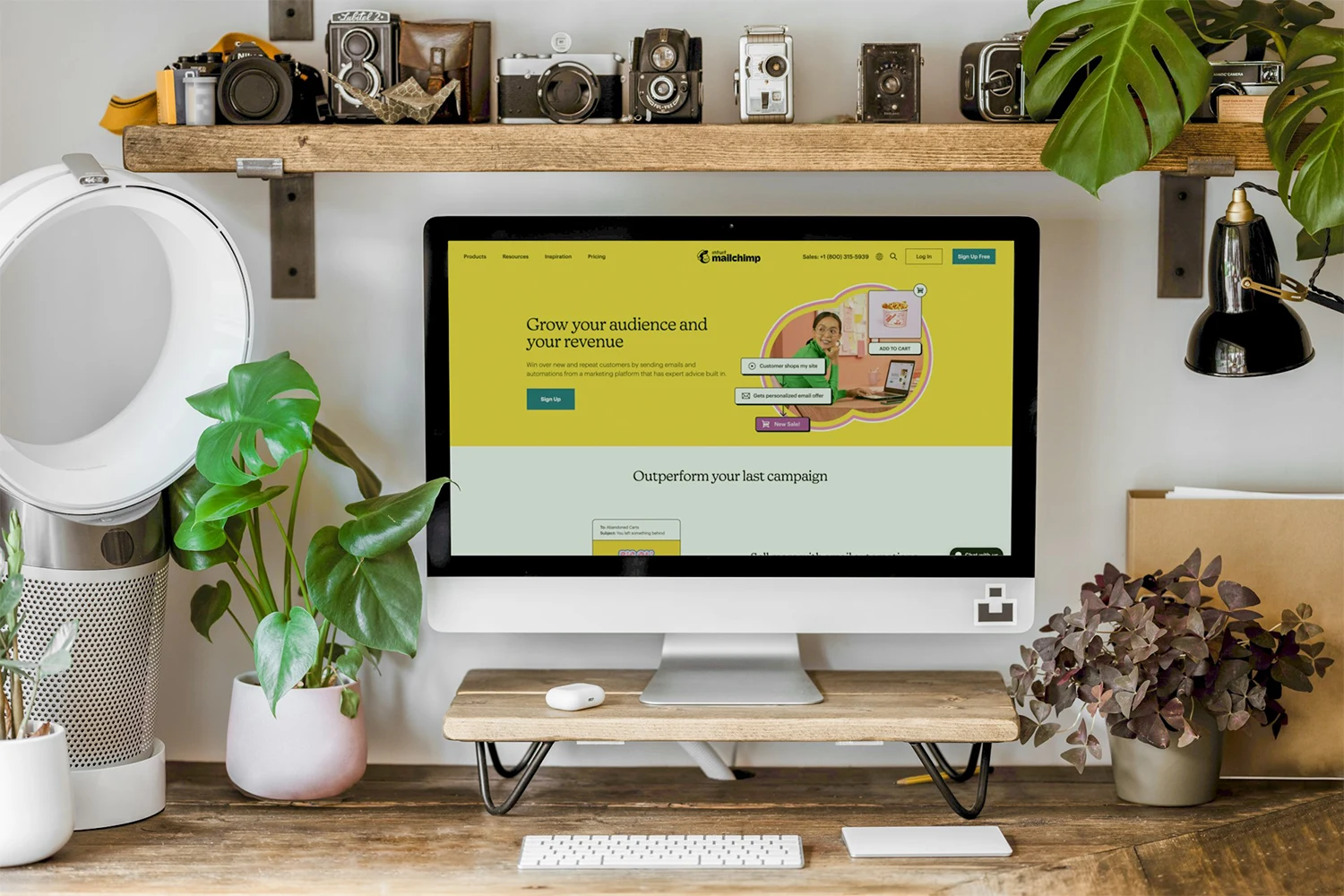 Do You Need a WordPress Website in 2026? A Complete Guide